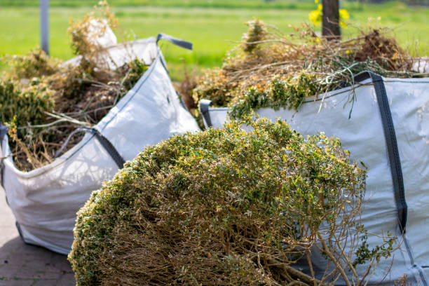 Best Basement Cleanout Services  in Phoenix, IL